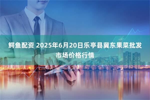 鳄鱼配资 2025年6月20日乐亭县冀东果菜批发市场价格行情