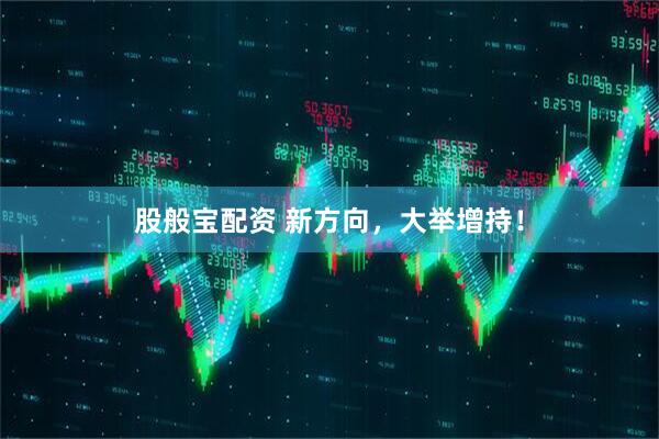 股般宝配资 新方向，大举增持！